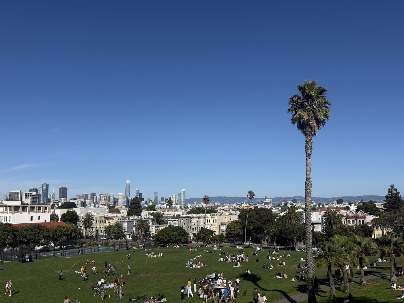 San Francisco skyline from Dolores Park
